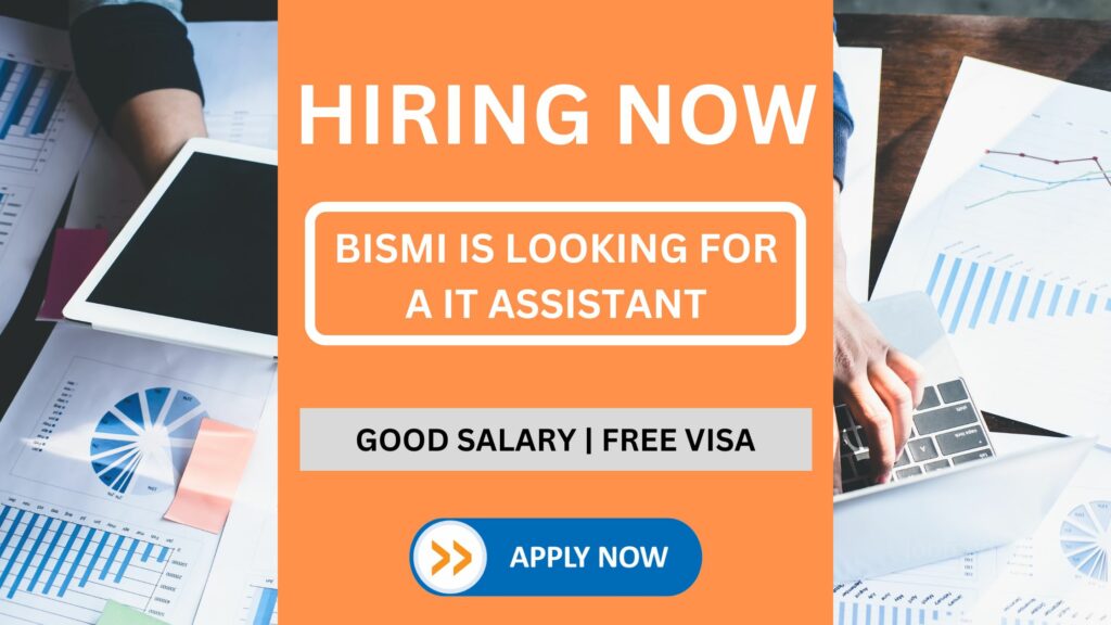 IT Assistant Job Vacancy at Bismi UAE - Minimum of 1 – 2 Years of Experience Need
