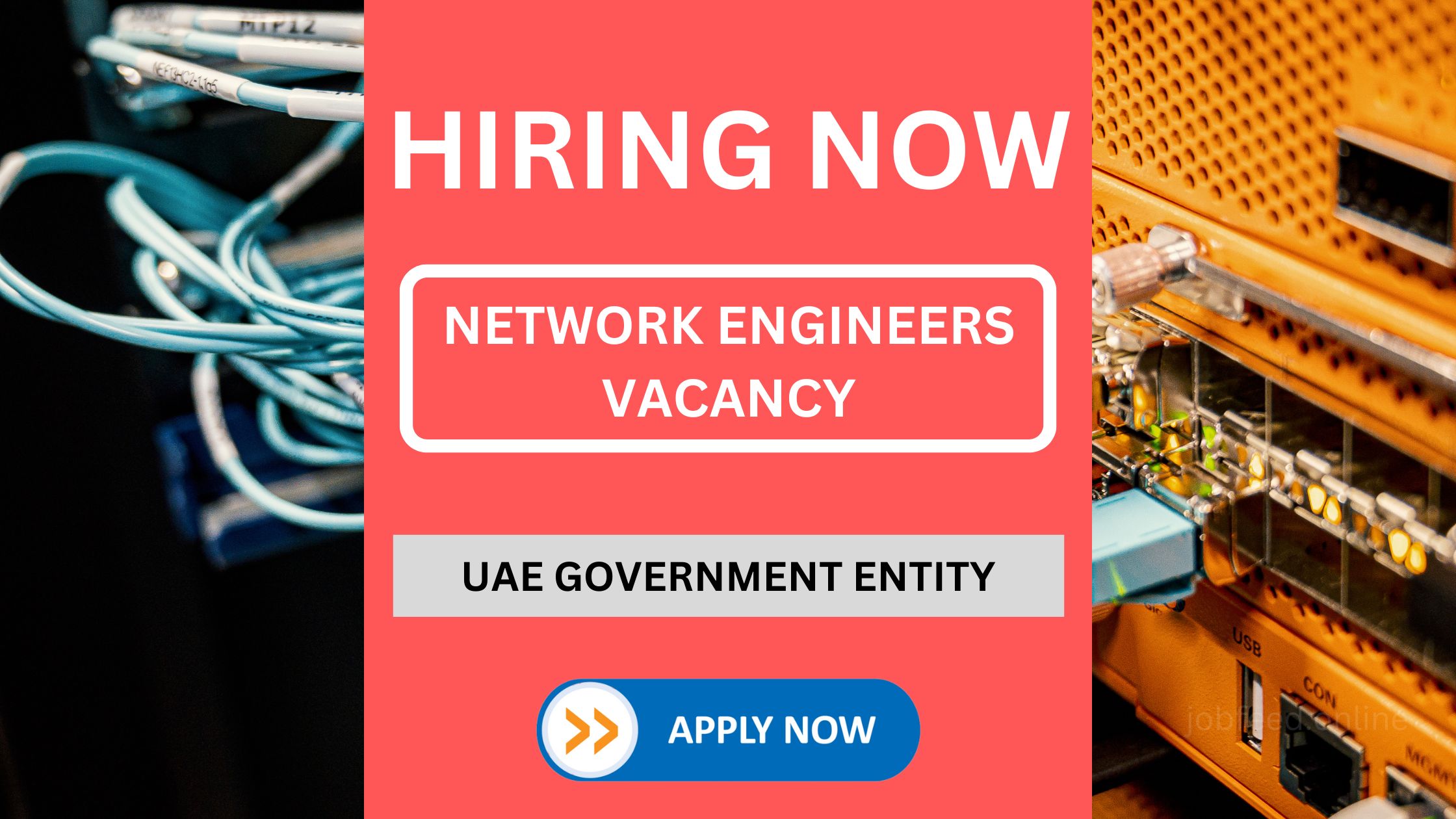 نیٹ ورک انجینئرز کی آسامی - متحدہ عرب امارات کے سرکاری ادارے کے لیے خدمات حاصل کرنا