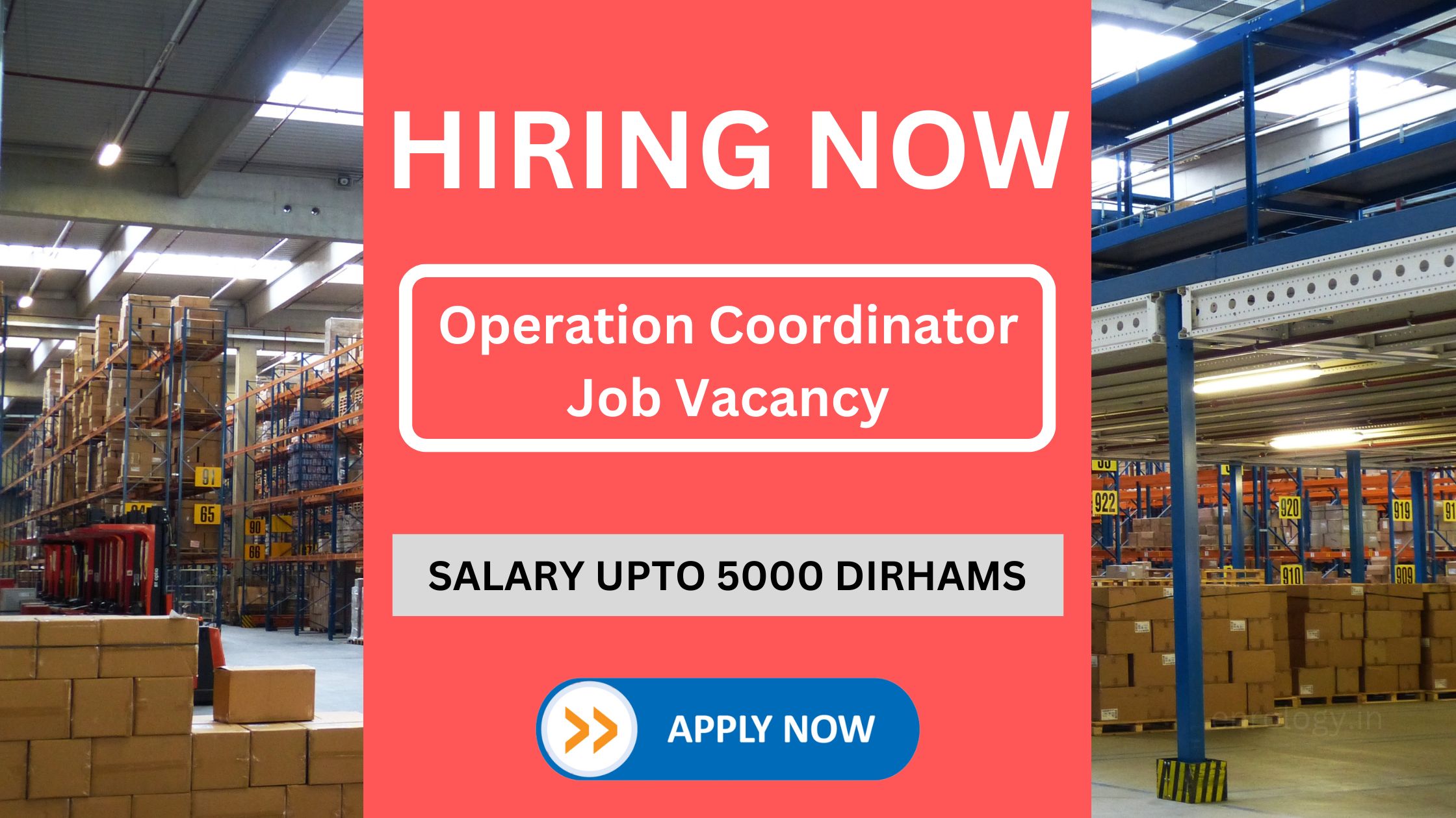 Operation Coordinator in Logistics Industry with Starting Salary Upto 5000 Dirhams