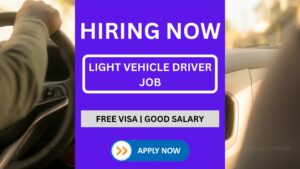 Light Vehicle Driver Vacancy - Whatsapp Your CV
