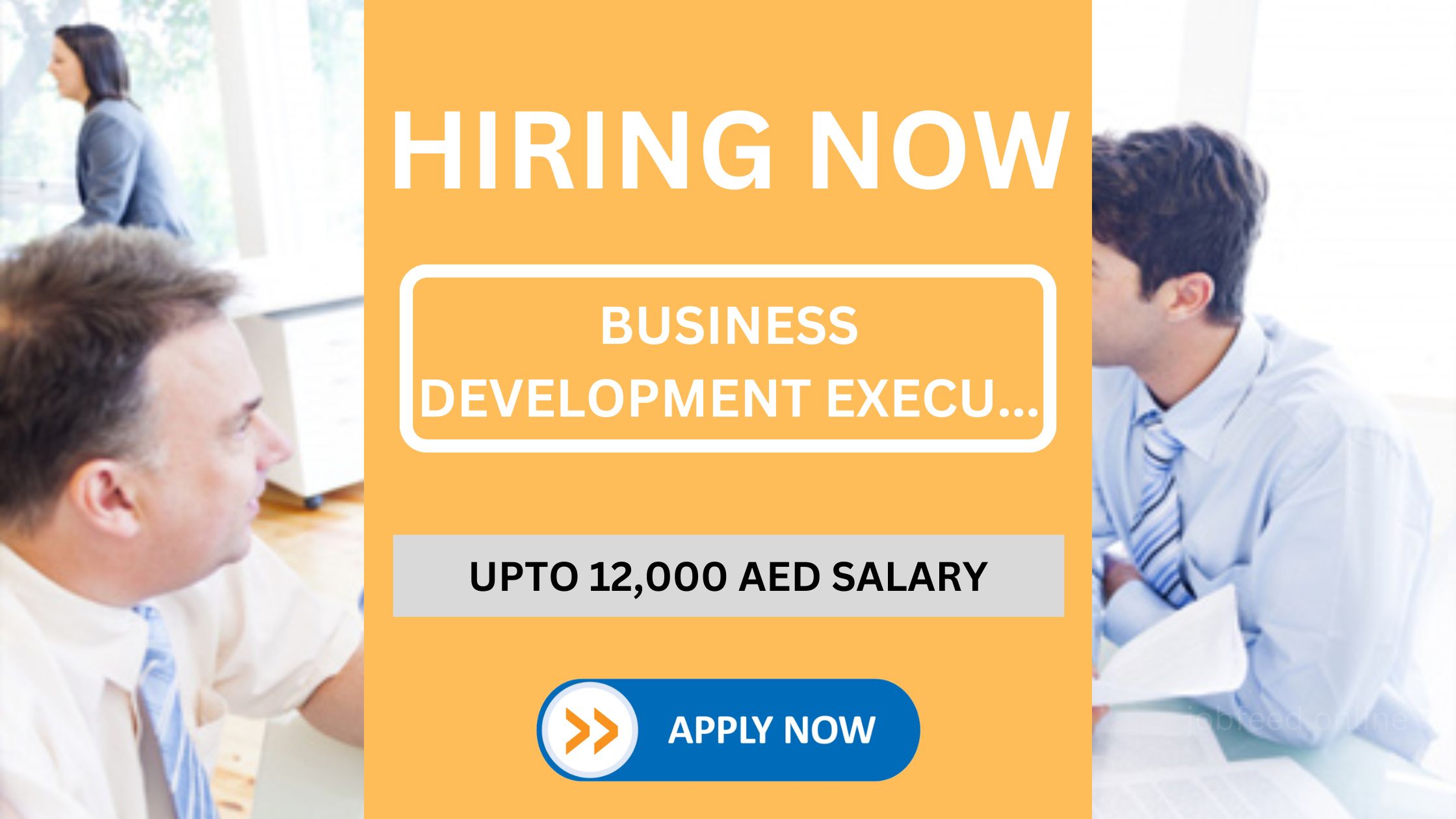 Business Development Executive Vacancy: 12000 AED Salary