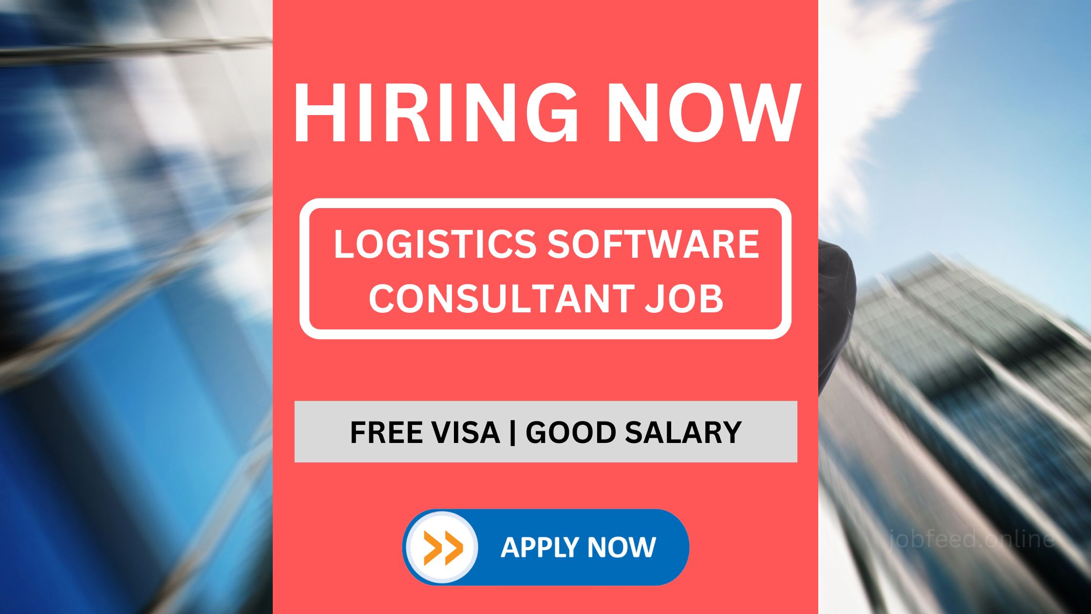 Logistics Software Consultant Job Vacancy in UAE