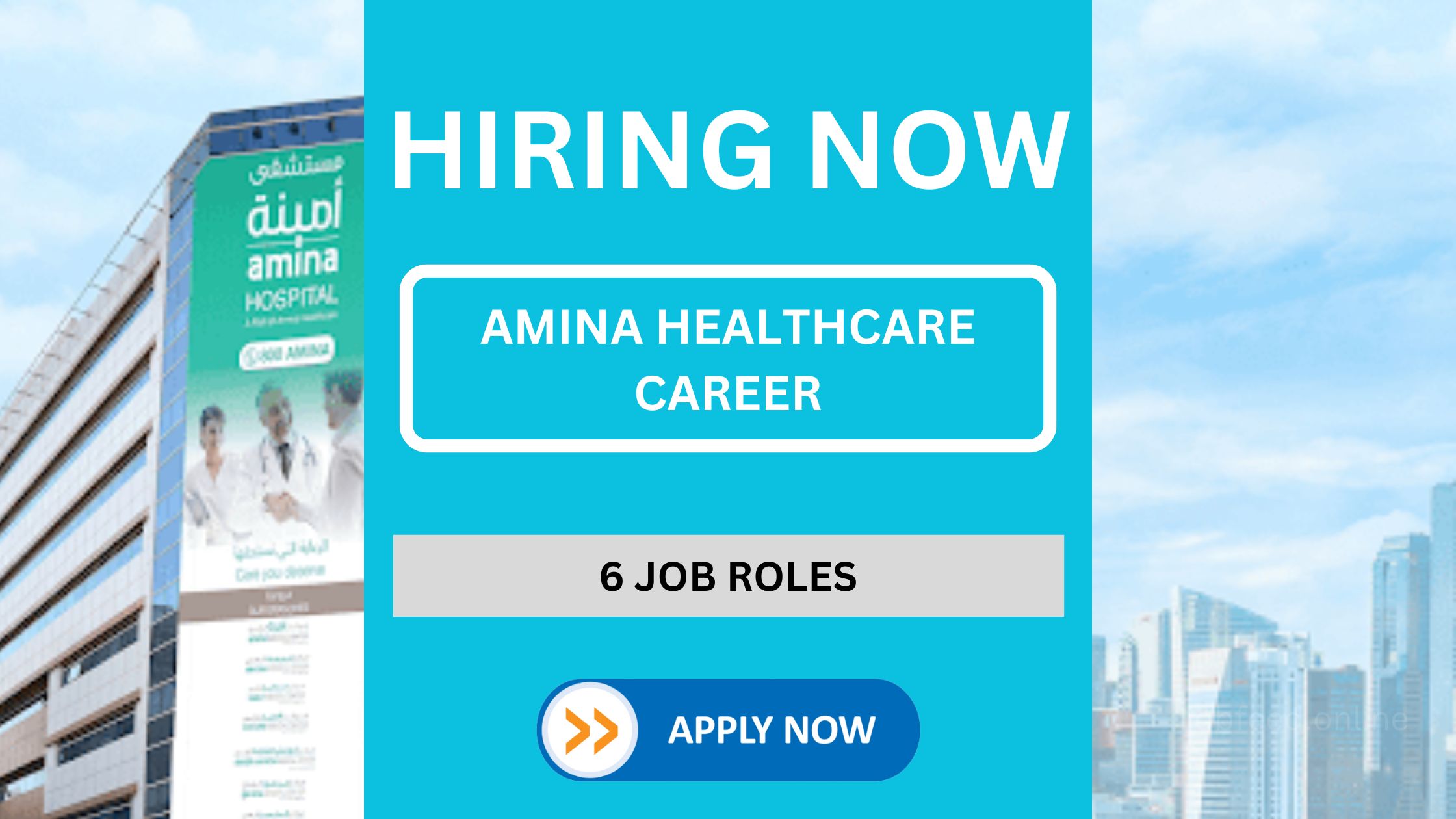 Current Amina Healthcare Career Openings in UAE