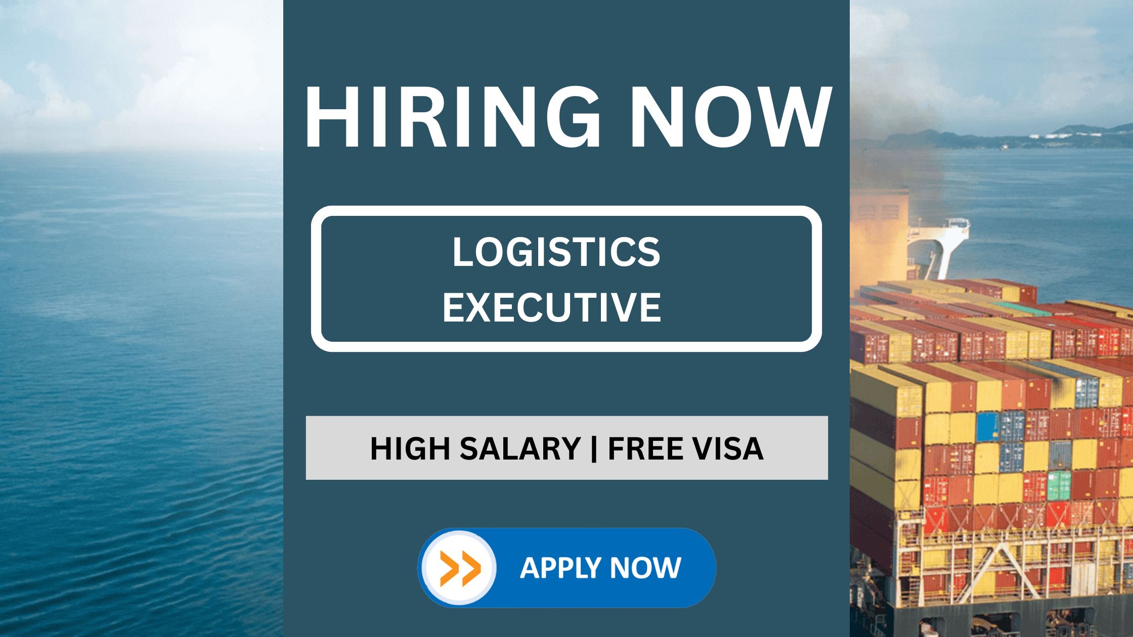 Logistics Executive Job Vacancy In Dubai